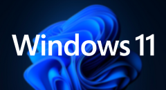 MEmu for Windows 11
